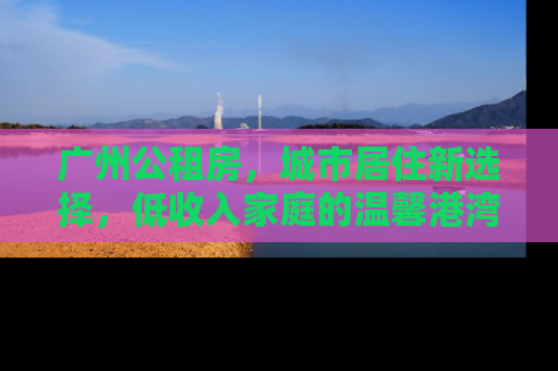 广州公租房，城市居住新选择，低收入家庭的温馨港湾
