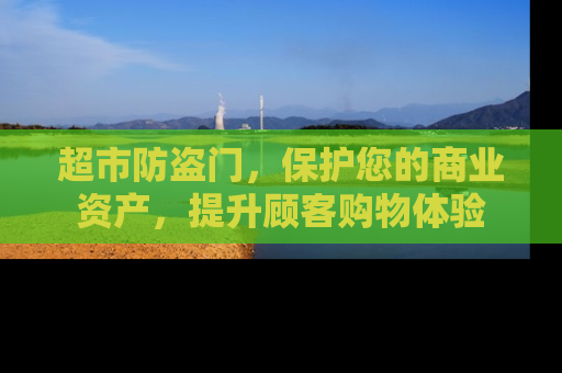 超市防盗门，保护您的商业资产，提升顾客购物体验