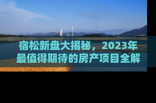 宿松新盘大揭秘，2023年最值得期待的房产项目全解析