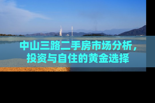 中山三路二手房市场分析，投资与自住的黄金选择