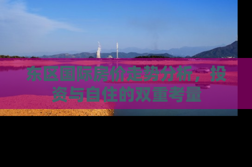 东区国际房价走势分析，投资与自住的双重考量
