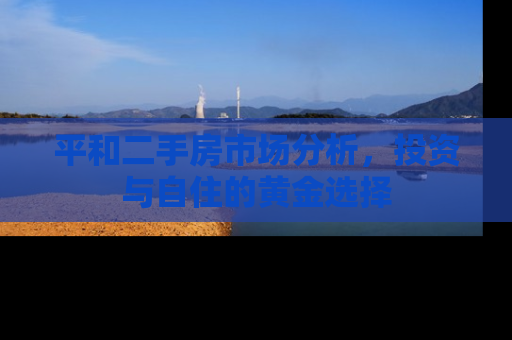 平和二手房市场分析，投资与自住的黄金选择