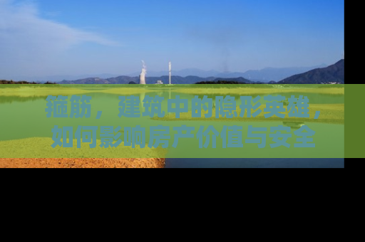 箍筋，建筑中的隐形英雄，如何影响房产价值与安全