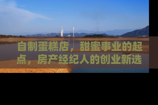自制蛋糕店，甜蜜事业的起点，房产经纪人的创业新选择
