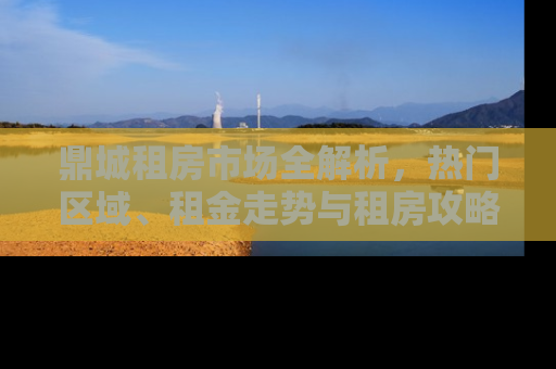 鼎城租房市场全解析，热门区域、租金走势与租房攻略