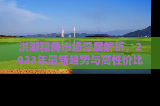 洪湖租房市场深度解析，2023年最新趋势与高性价比房源推荐
