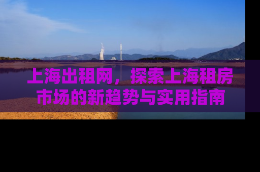 上海出租网，探索上海租房市场的新趋势与实用指南