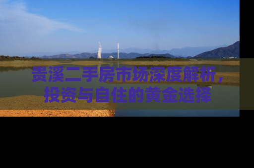 贵溪二手房市场深度解析，投资与自住的黄金选择