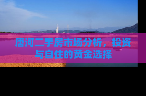 唐河二手房市场分析，投资与自住的黄金选择