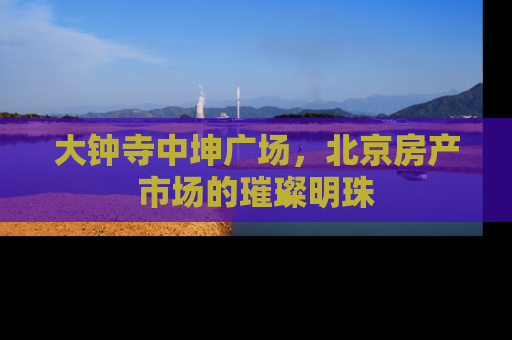 大钟寺中坤广场，北京房产市场的璀璨明珠