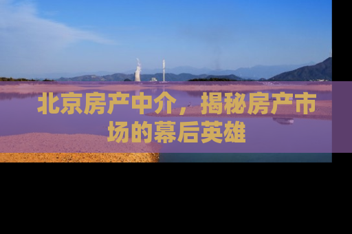 北京房产中介，揭秘房产市场的幕后英雄
