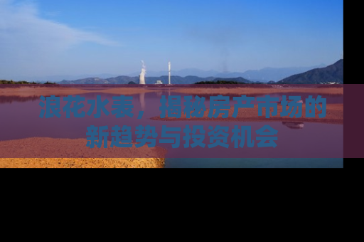浪花水表，揭秘房产市场的新趋势与投资机会