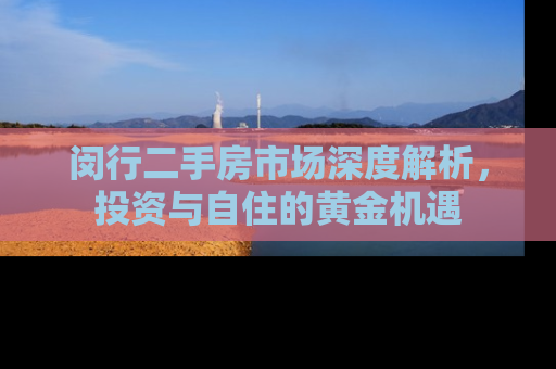 闵行二手房市场深度解析，投资与自住的黄金机遇