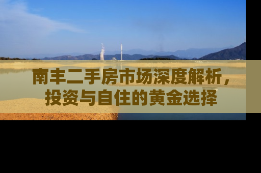 南丰二手房市场深度解析，投资与自住的黄金选择