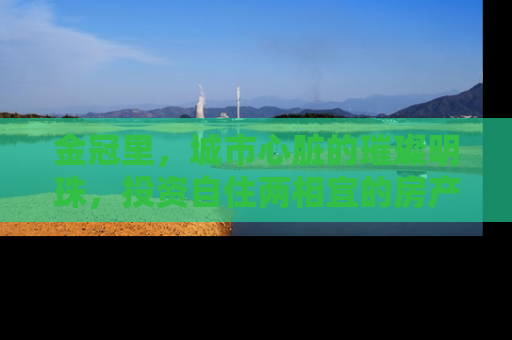 金冠里，城市心脏的璀璨明珠，投资自住两相宜的房产新宠
