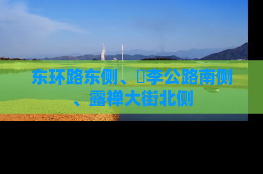 东环路东侧、洺李公路南侧、露禅大街北侧