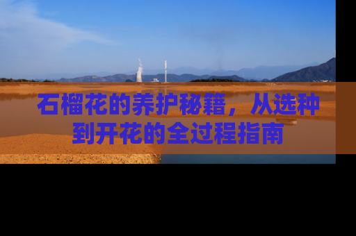 石榴花的养护秘籍，从选种到开花的全过程指南