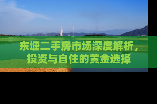 东塘二手房市场深度解析，投资与自住的黄金选择