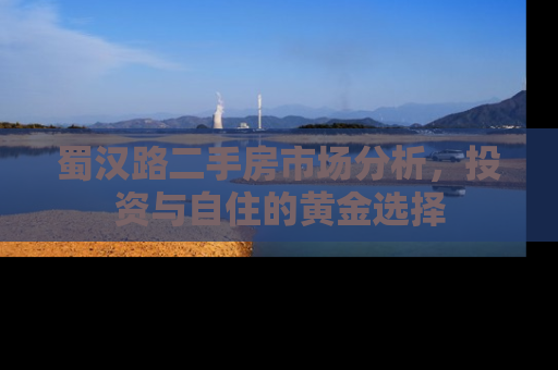 蜀汉路二手房市场分析，投资与自住的黄金选择