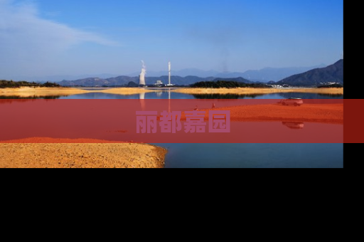 丽都嘉园