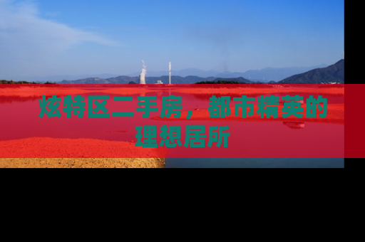 炫特区二手房，都市精英的理想居所