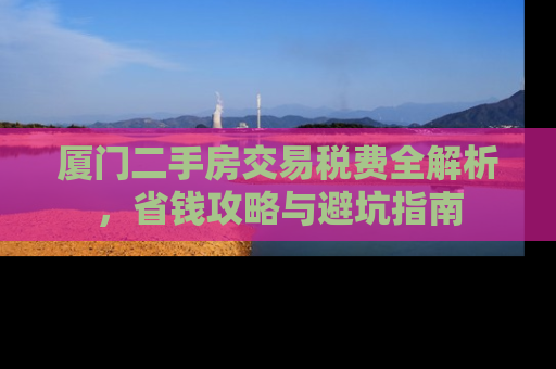 厦门二手房交易税费全解析，省钱攻略与避坑指南