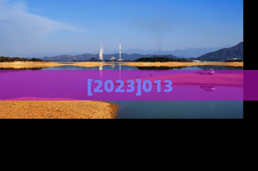 [2023]013