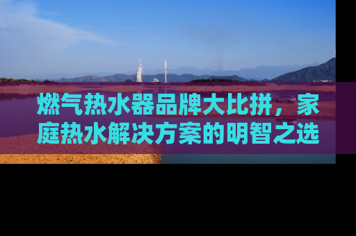 燃气热水器品牌大比拼,家庭热水解决方案的明智之选 燃气热水器品牌大比拼,家庭热水解决方案的明智之选