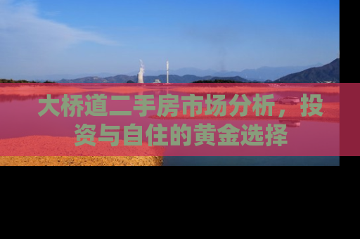 大桥道二手房市场分析，投资与自住的黄金选择