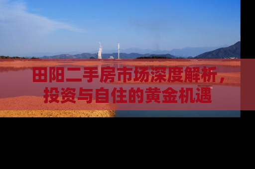 田阳二手房市场深度解析，投资与自住的黄金机遇