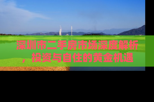 深圳市二手房市场深度解析，投资与自住的黄金机遇