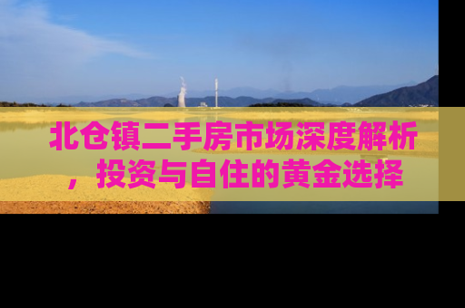 北仓镇二手房市场深度解析，投资与自住的黄金选择