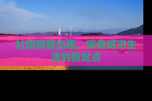 社旗房屋出租，探索城市生活的新起点