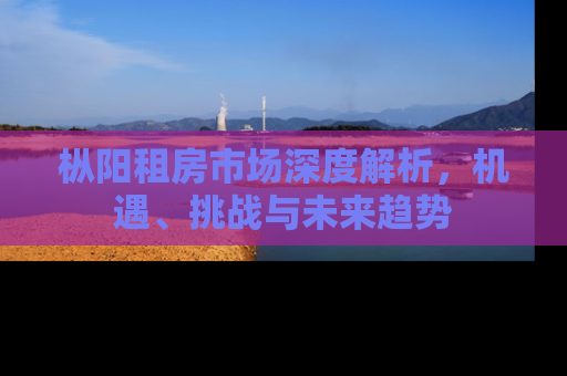 枞阳租房市场深度解析，机遇、挑战与未来趋势