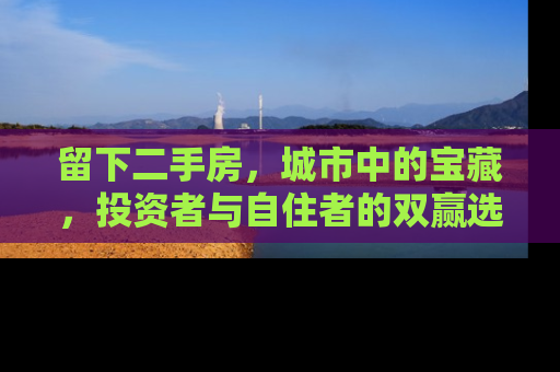 留下二手房，城市中的宝藏，投资者与自住者的双赢选择