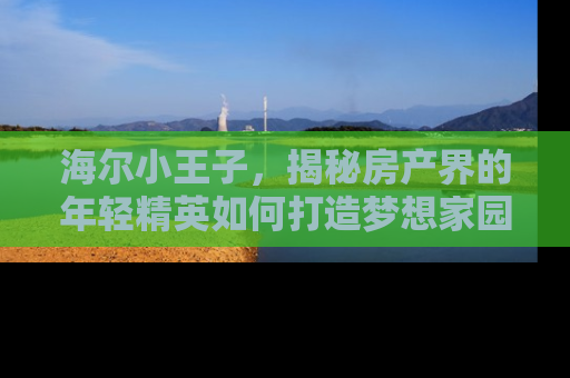 海尔小王子，揭秘房产界的年轻精英如何打造梦想家园