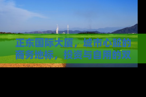 正东国际大厦，城市心脏的商务地标，投资与自用的双重价值