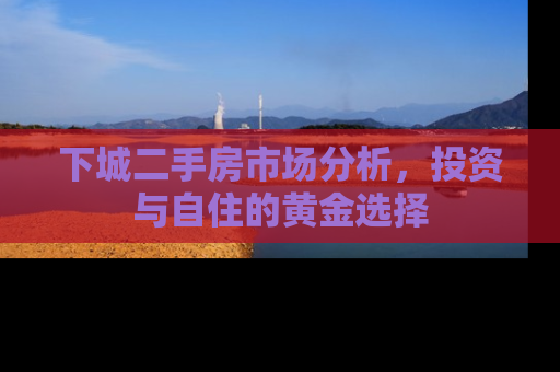 下城二手房市场分析，投资与自住的黄金选择
