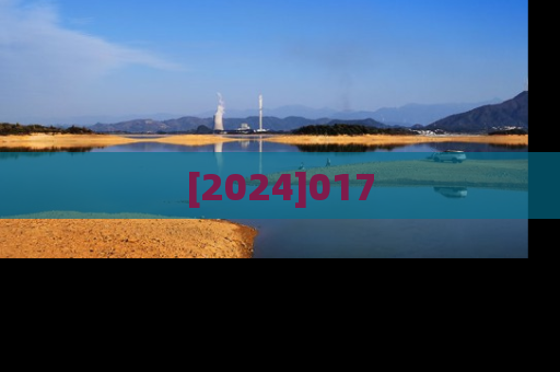 [2024]017