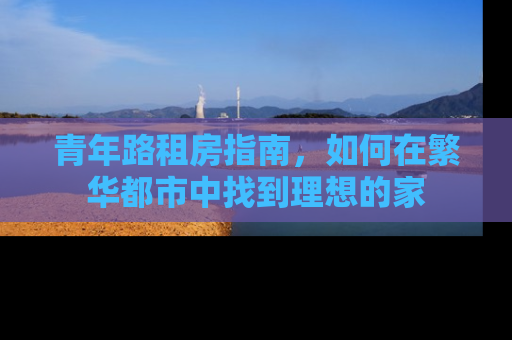 青年路租房指南,如何在繁华都市中找到理想的家 青年路租房指南,如何在繁华都市中找到理想的家