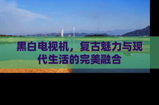 黑白电视机，复古魅力与现代生活的完美融合