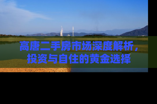 高唐二手房市场深度解析，投资与自住的黄金选择