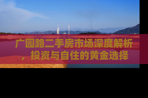 广园路二手房市场深度解析，投资与自住的黄金选择