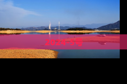2024-5号