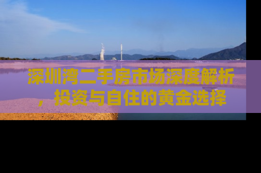 深圳湾二手房市场深度解析，投资与自住的黄金选择