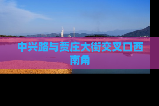 中兴路与贾庄大街交叉口西南角