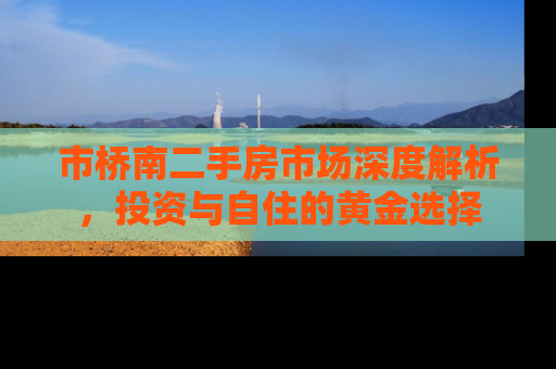 市桥南二手房市场深度解析，投资与自住的黄金选择
