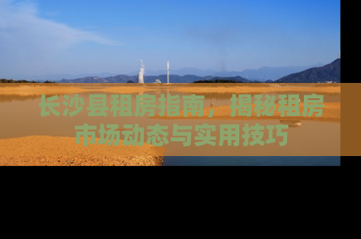 长沙县租房指南,揭秘租房市场动态与实用技巧 长沙县租房指南,揭秘租房市场动态与实用技巧