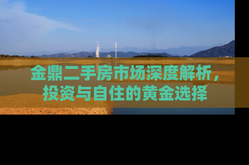 金鼎二手房市场深度解析，投资与自住的黄金选择