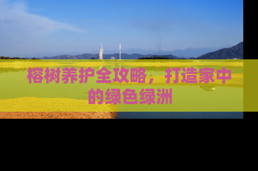 榕树养护全攻略，打造家中的绿色绿洲